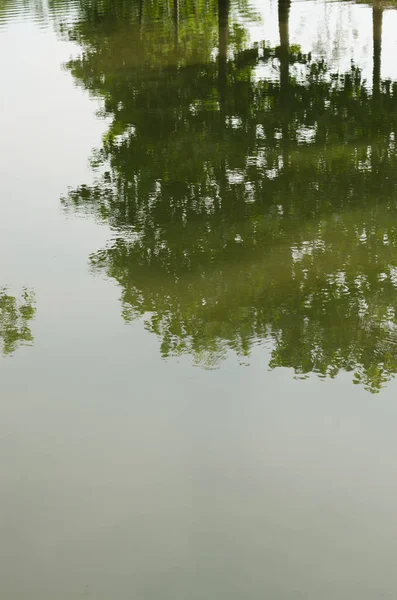Ağacın Gölgesi Doğal Arkaplan Çin Gölün Suyuna Yansıyor — Stok fotoğraf
