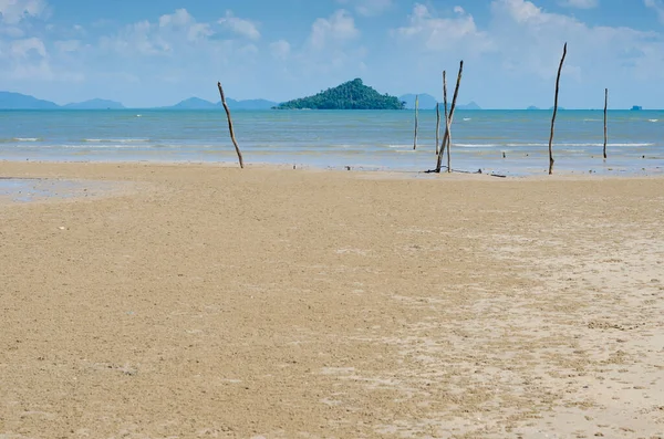 Doğal Arkaplan İçin Kum Sahil ve Deniz Suyu.
