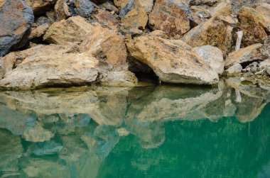 Temiz Yeşil Suyu Olan Doğal Bataklık.