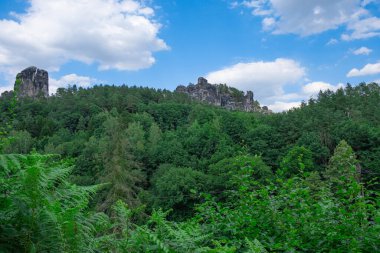 Mavi gökyüzü, arka planda dağlar ve ön planda sık orman.