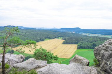Avrupa 'da bir dağın tepesinden olgun bir buğday tarlası manzarası.