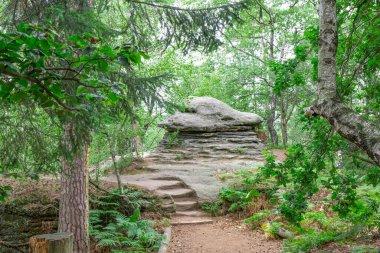 Ağaçların arasında sıradışı bir blok var. Kayanın içine oyulmuş adımlar ona doğru gidiyor.