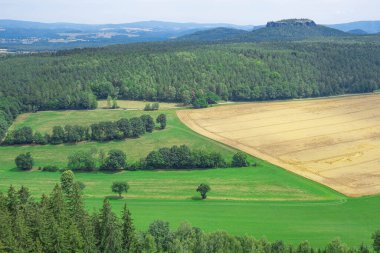 Dağlık arazi, sık orman ve buğday tarlaları, arka planda kayalık dağ