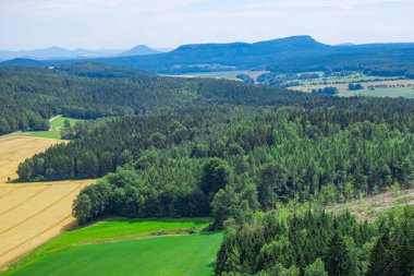 Dağlık bölge, sık orman ve buğday tarlaları, Almanya 'nın doğusunda bir yer.