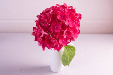 Açık arkaplanda parlak pembe bir ortanca dalına sahip bir kupa, yapılandırılmış bir yüzey üzerinde duruyor.