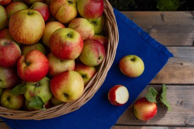 Üç elma, biri çoktan ısırılmış, mavi bir masa örtüsü ve olgun elmalarla dolu bir sepet üzerinde yatıyor.