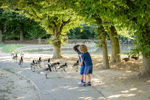 ördekler tarafından çevrili iki genç erkek