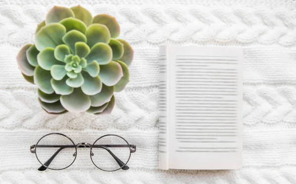 Confort à la maison et soirée d'hiver. verres vintage soft focus, succulent, livre. vue de dessus des pantoufles de la maison, une tasse sur un tapis tricoté flatlay. apprentissage, rédacteur en chef, correcteur, écrivain — Photo