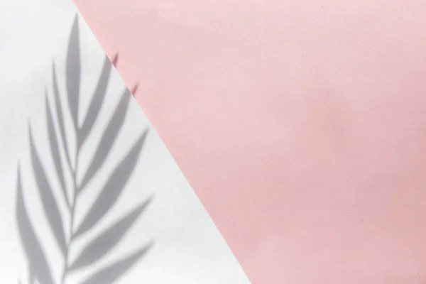 Vista superior sobre fundo rosa com luz solar e sombra de coco, folhas de palma tropicais, monstera. conceito de viagem, flatlay — Fotografia de Stock
