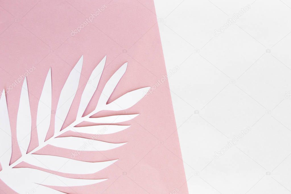 Top view on pink background with sunlight and shadow of coconut, tropical palm leaves, monstera. travel concept, flatlay