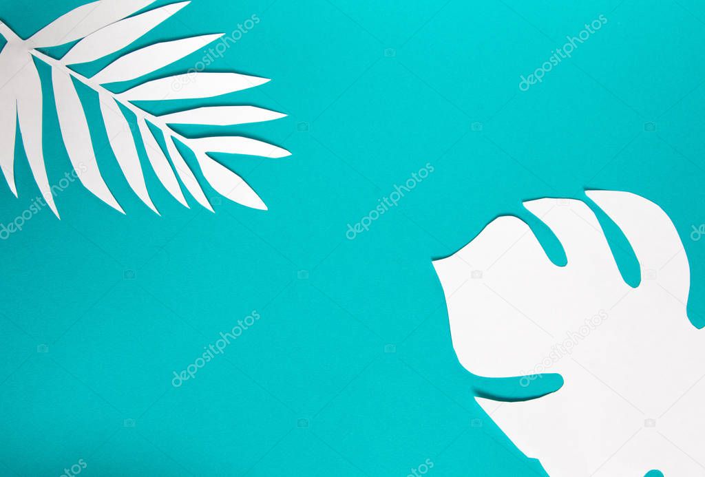 Top view on color background with sunlight and shadow of coconut tropical palm leaves, monstera. travel concept, flatlay