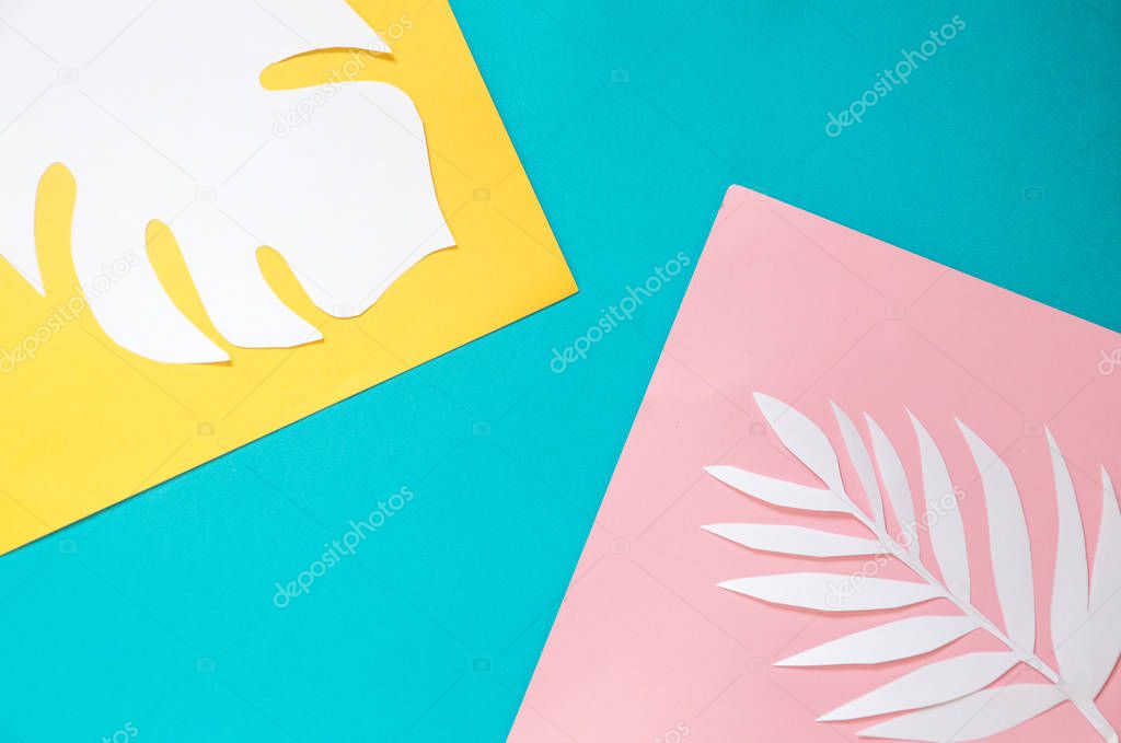 Top view on color background with sunlight and shadow of coconut tropical palm leaves, monstera. travel concept, flatlay