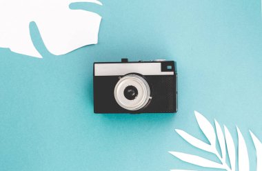 Düz yatıyordu gezgin. Eski retro kamera ve palmiye yaprağı. Üstten görünüm seyahat veya tatil kavramı. Yaz arka plan.