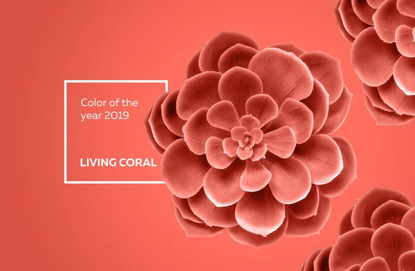 Color of the year 2019 Living Coral, succulent background — Stock Photo, Image