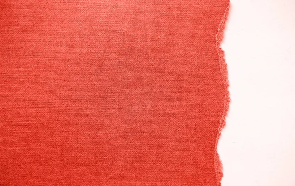 Folha rasgada de papel sobre um fundo branco em cores do ano 2019 coral vivo — Fotografia de Stock
