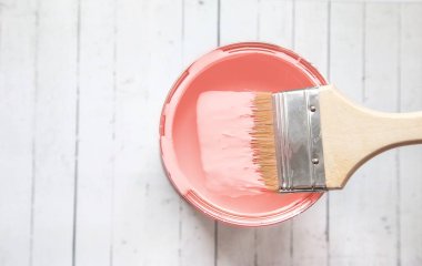 Ev tadilatı, boya kutusu. Kopya alanı, Yıl Rengi 2019 yaşayan mercan.