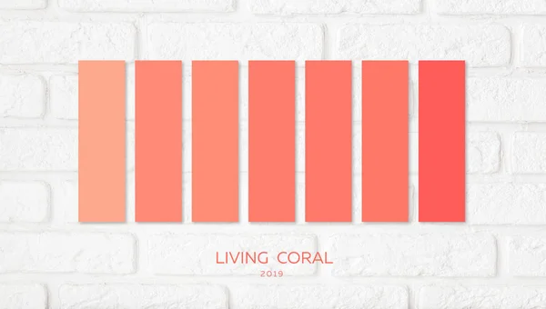 Paleta Kolorów Dla Projektanta Białym Tle Kolor Rok 2019 Życia — Zdjęcie stockowe