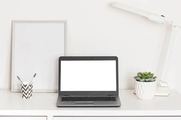 laptop computer white blank screen on work table front view, office desk with succulent flower