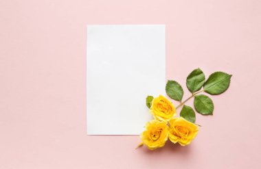 Çiçekler kompozisyon arka plan. pembe arka planda güzel sarı güller. Üst görünüm. Boşluk Kopyala