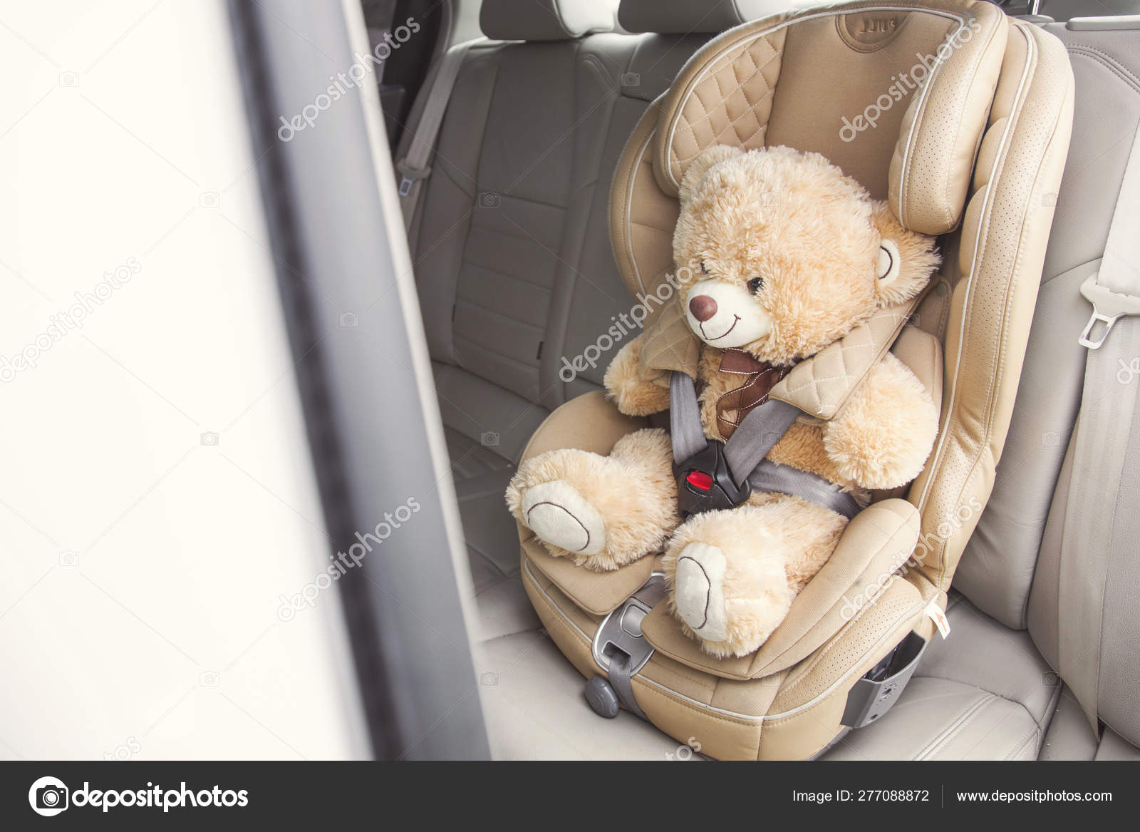 seat teddy bear