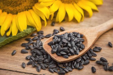 Taze ayçiçeği tohumları. Ahşap arka planda makro çekim