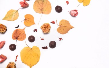 Sonbahar kompozisyonu. Düşmüş sarı sonbahar yaprakları, koniler ve çiçekler masa düzlük