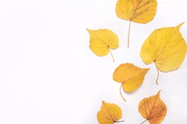 Sonbahar kompozisyonu. Düşmüş sarı sonbahar yaprakları, koniler ve çiçekler masa düzlük