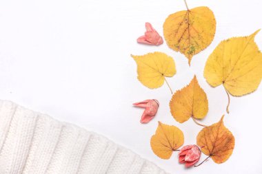 Sonbahar kompozisyonu. Düşmüş sarı sonbahar yaprakları, koniler ve çiçekler masa düzlük