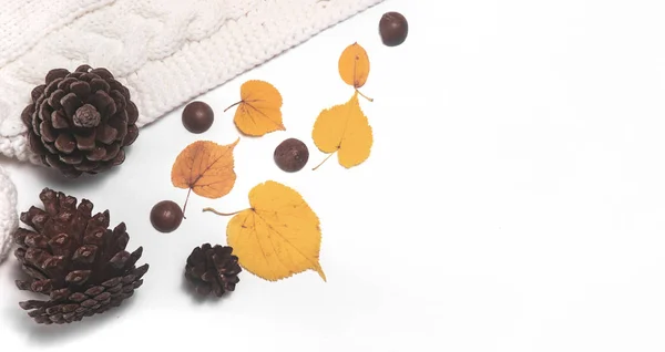 Composição do outono. Folhas de outono amarelas caídas, cones e flores na mesa flatlay — Fotografia de Stock