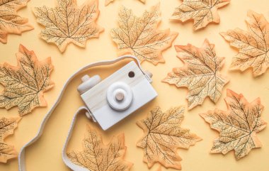 Kamera ve pastel renk arka plan üzerinde sonbahar yaprakları ile Yaratıcı Flatlay moda tarzı. Seyahat sonbahar konsepti. metin için boş alan