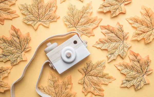 Kamera ve pastel renk arka plan üzerinde sonbahar yaprakları ile Yaratıcı Flatlay moda tarzı. Seyahat sonbahar konsepti. metin için boş alan