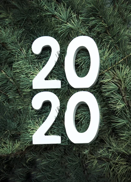 크리스마스 장식, 크리스마스 나뭇가지 및 번호 2020 — 스톡 사진