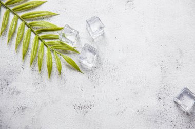 Yeşil palmiye yapraklı çiçek konsepti gri mermer arka plan görünümlü buz küplü düz doğa beyaz