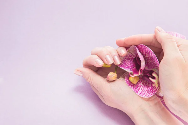 Ženské ruce s manikúrou a orchidejí na květinovém pozadí — Stock fotografie