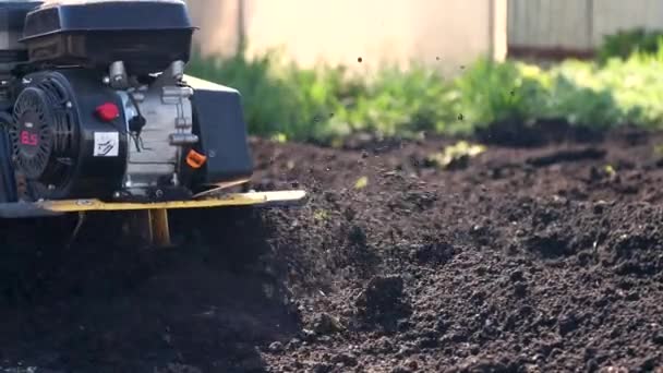 De perto, Homem arar a terra no jardim com um cultivador. trabalho agrícola na lavoura do campo para semeadura de sementes. um homem arado a terra com a ajuda de cultivador de motor . — Vídeo de Stock