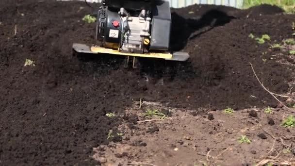 Feche bem, Homem a arar a terra no jardim com um cultivador. trabalho agrícola na lavoura do campo para semeadura de sementes. um homem arado a terra com a ajuda de cultivador de motor . — Vídeo de Stock