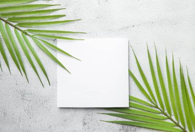 Beyaz kart ve mesaj kutusuyla tropik palmiye yaprakları. Düz yatak, doğa konsepti, model.