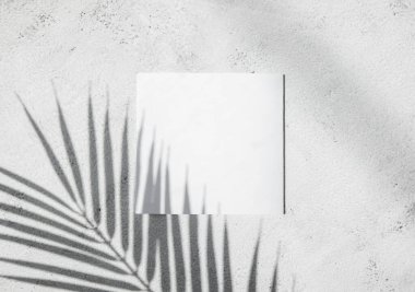 Beyaz kart ve mesaj kutusuyla tropik palmiye yapraklarının gölgesi. Düz yatak, doğa konsepti, model.