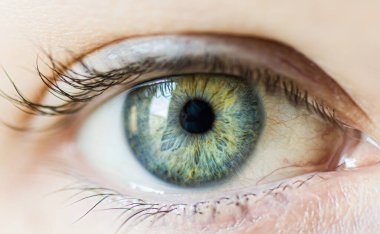 Yeşil insan gözü. makro çekim.