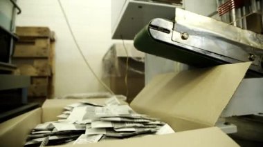 Fabrikada kozmetik üretimi. Paketler karton kutuya düşer