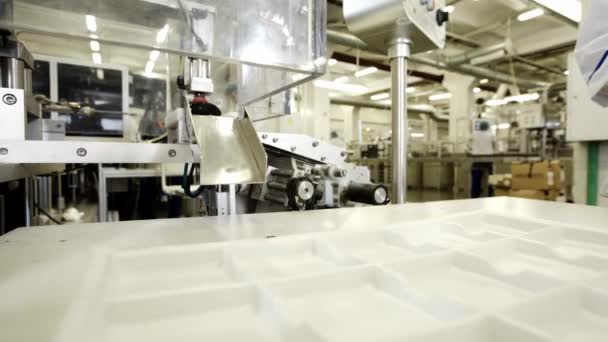 Automated conveyor in cosmetic factory. Manufacture decorative cosmetics — Stock Video