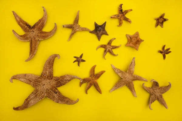 Estrella Mar Sobre Fondo Amarillo —  Fotos de Stock