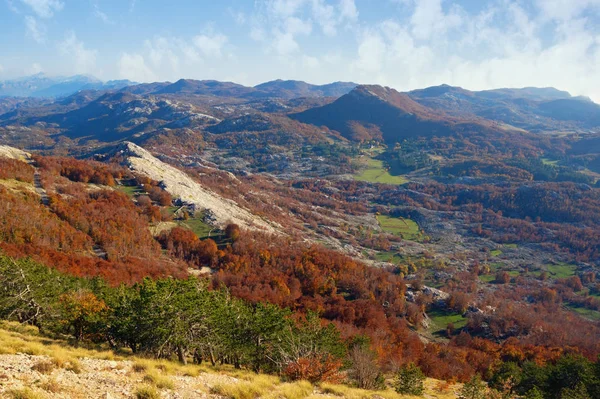 Bellissimo Paesaggio Montano Autunnale Montenegro Veduta Del Parco Nazionale Lovcen — Foto Stock