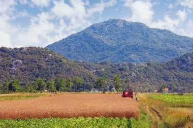 Tarım işleri. Alan içinde valley, Dinar Alpleri gün güneşli yaz. Bosna ve Hersek, Sırp Cumhuriyeti
