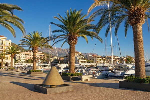 Porto Karadağ marina manzarası. Tivat şehir, Karadağ