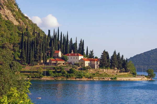 Malebné Středomořské Krajiny Černá Hora Kotor Bay Jaderské Moře Pohled — Stock fotografie