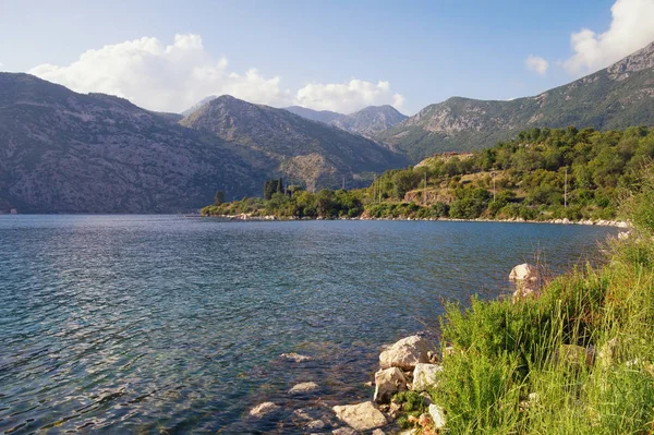 Yaz Akdeniz manzara. Karadağ, Kotor(Adriatic Sea) Bay görünümünü Risan town yakınındaki