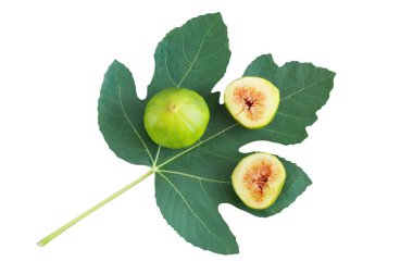 Olgun incir meyve incir ağacının yeşil yaprak üzerinde. Düz yatıyordu, izole