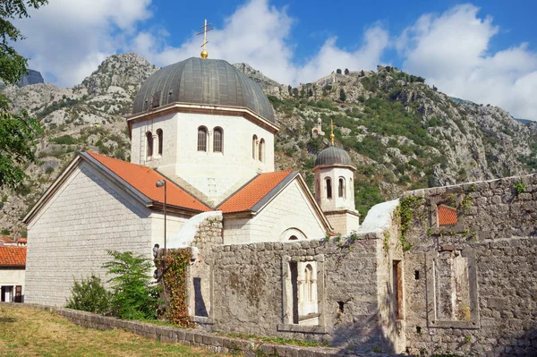 Arquitectura Religiosa Montenegro Ciudad Vieja Kotor Patrimonio Humanidad Por Unesco — Foto de Stock