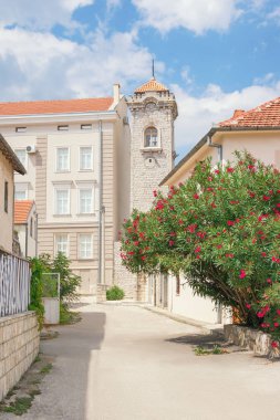 Antik kentin Sunny Sokağı. Bosna ve Hersek, Trebinje eski şehir, görünümü olan Hersek Müzesi